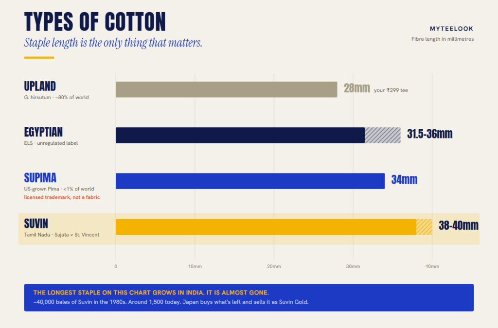 Types of cotton compared by staple length - Suvin 40mm, Supima 34mm, Egyptian 36mm, upland 28mm